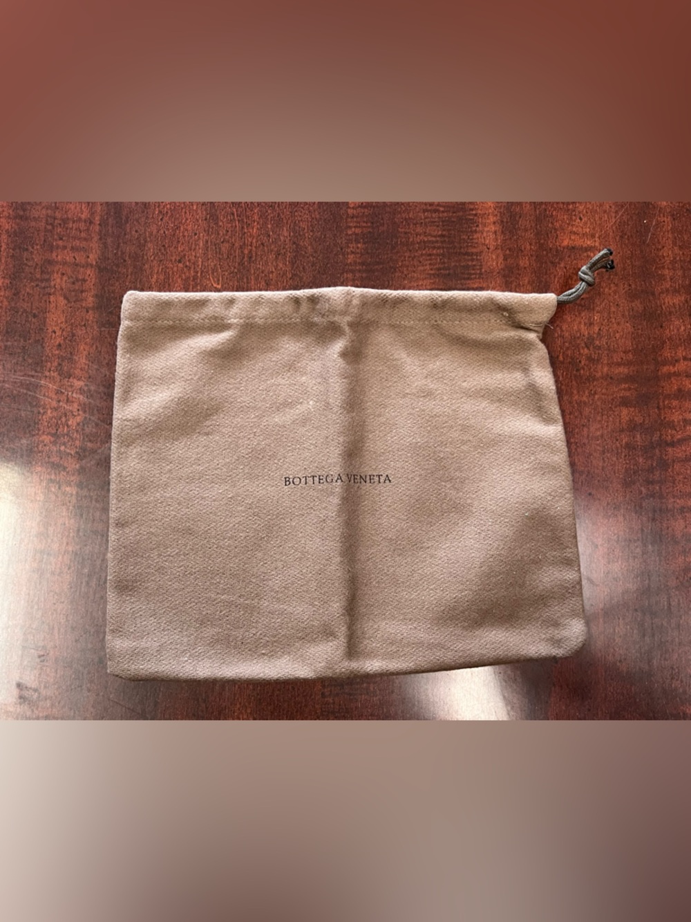Bottega Veneta Dust Bag in Taupe
